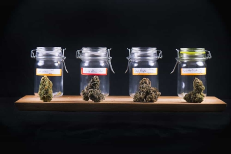 Marijuana in 4 glass jars